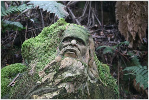 William Ricketts Sanctuary, Mt Dandenong. Photo: Julie Strahan/jsarcadia photography. Copyright Creative Commons, some rights reserved.